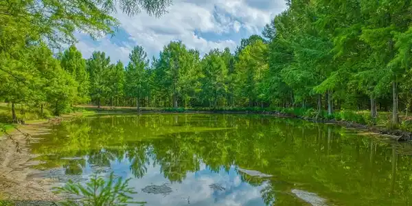1630 County Road 219