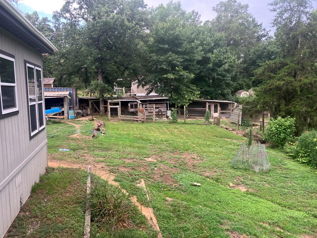 Image 4