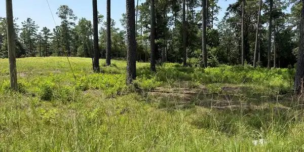 Lot 002 Private Rd 6028