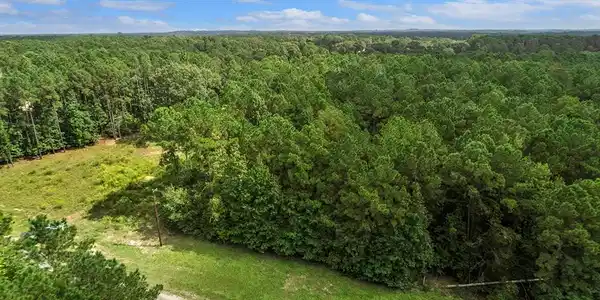 255 County Road 222a