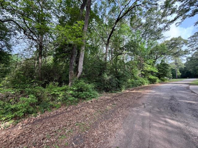 541 (Lot) Lakeshore Drive
