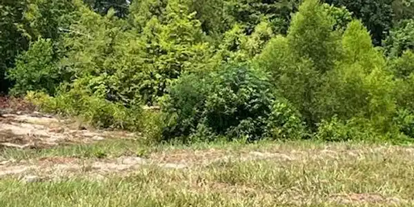430 County Road 3360