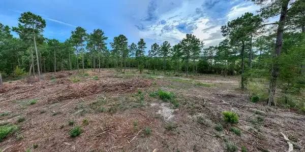 Image 4: Additional View