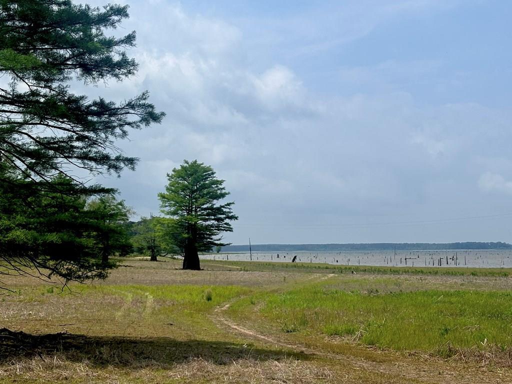 Image 1: Main View