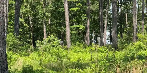 Lot 17 Private Rd 6028