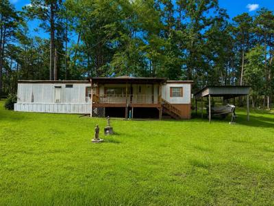270 Peach Tree