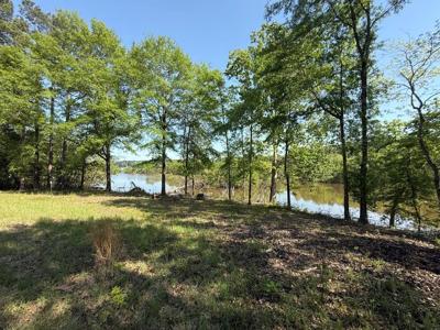 250 Cane Lane