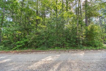 81 Bluebird Lane