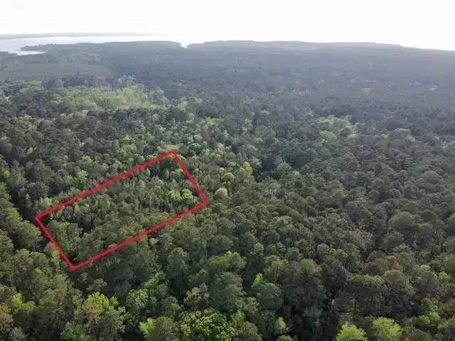 Image 1: Main View