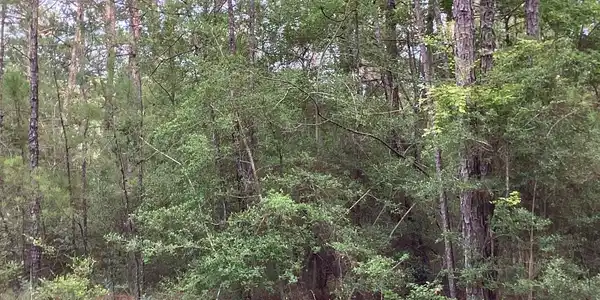 Image 2: Additional View