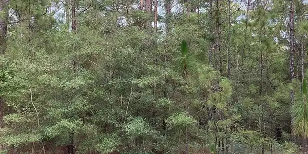 Image 3: Additional View