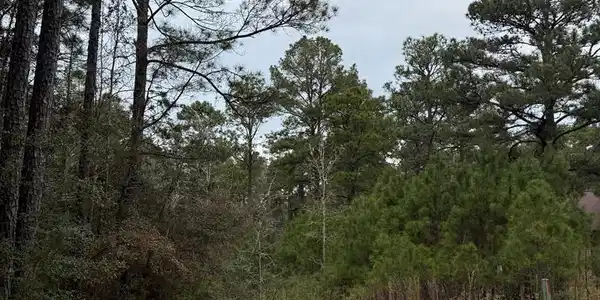 10 Pine Hollow Cove