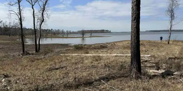 Image 4: Additional View