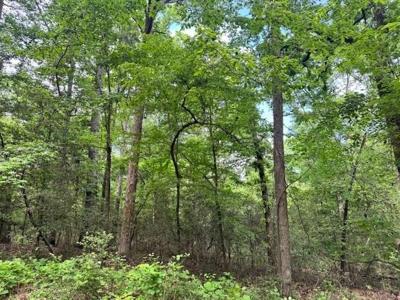 Lot 22 Red Bud Lane