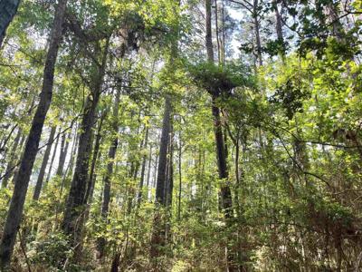 Lot 713 Starfish Dr.