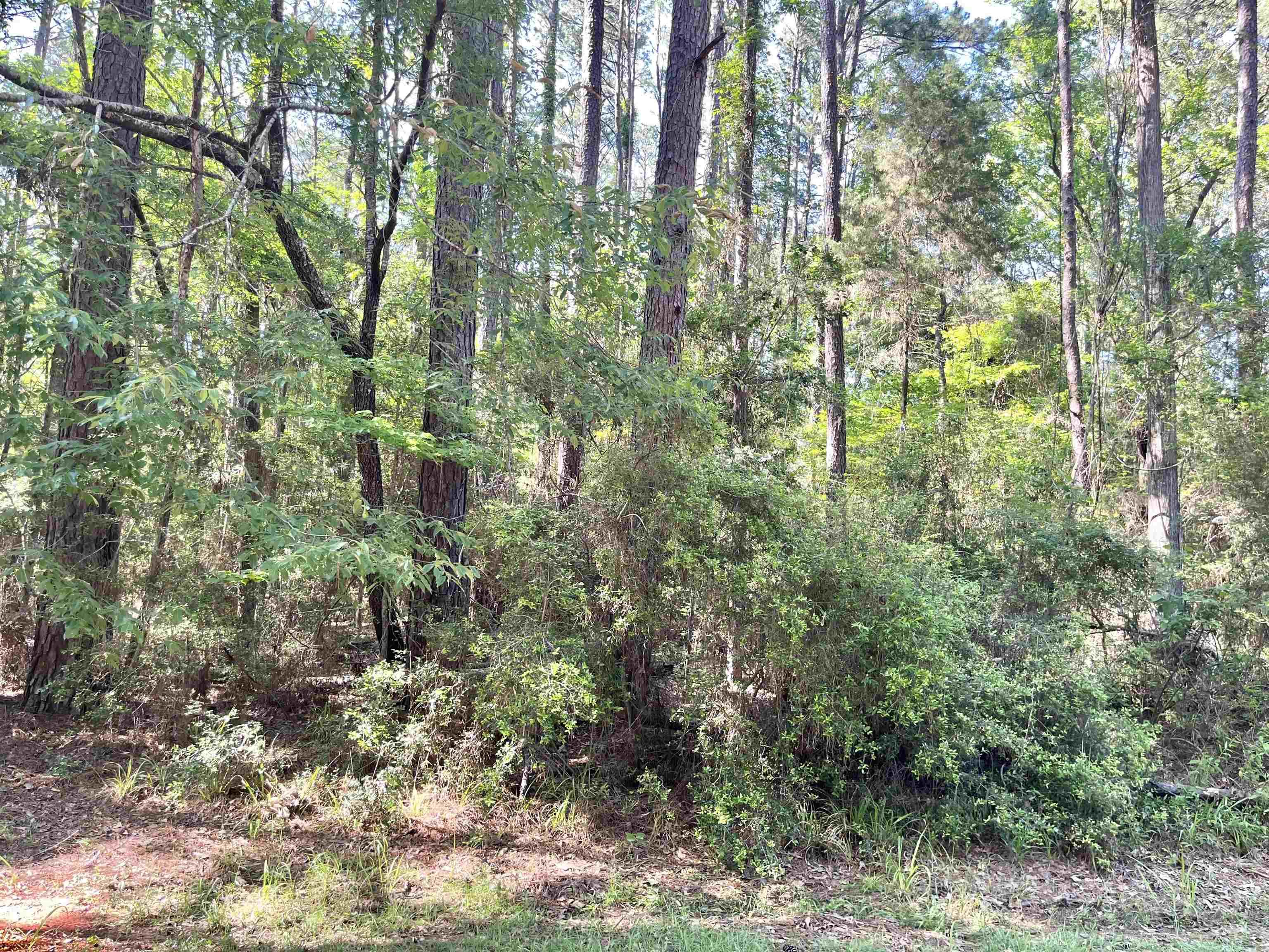 Image 2: Additional View