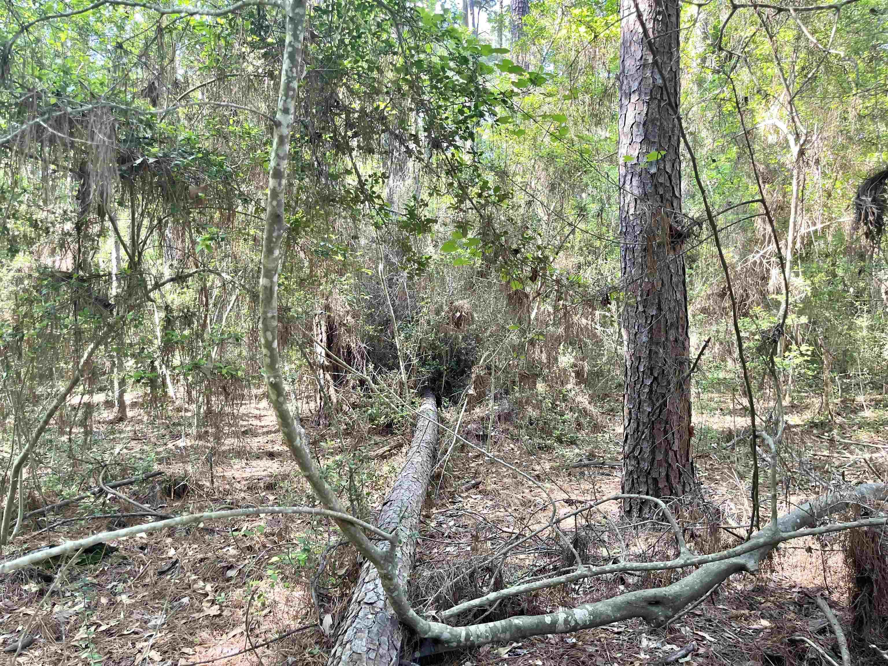 Image 3: Additional View