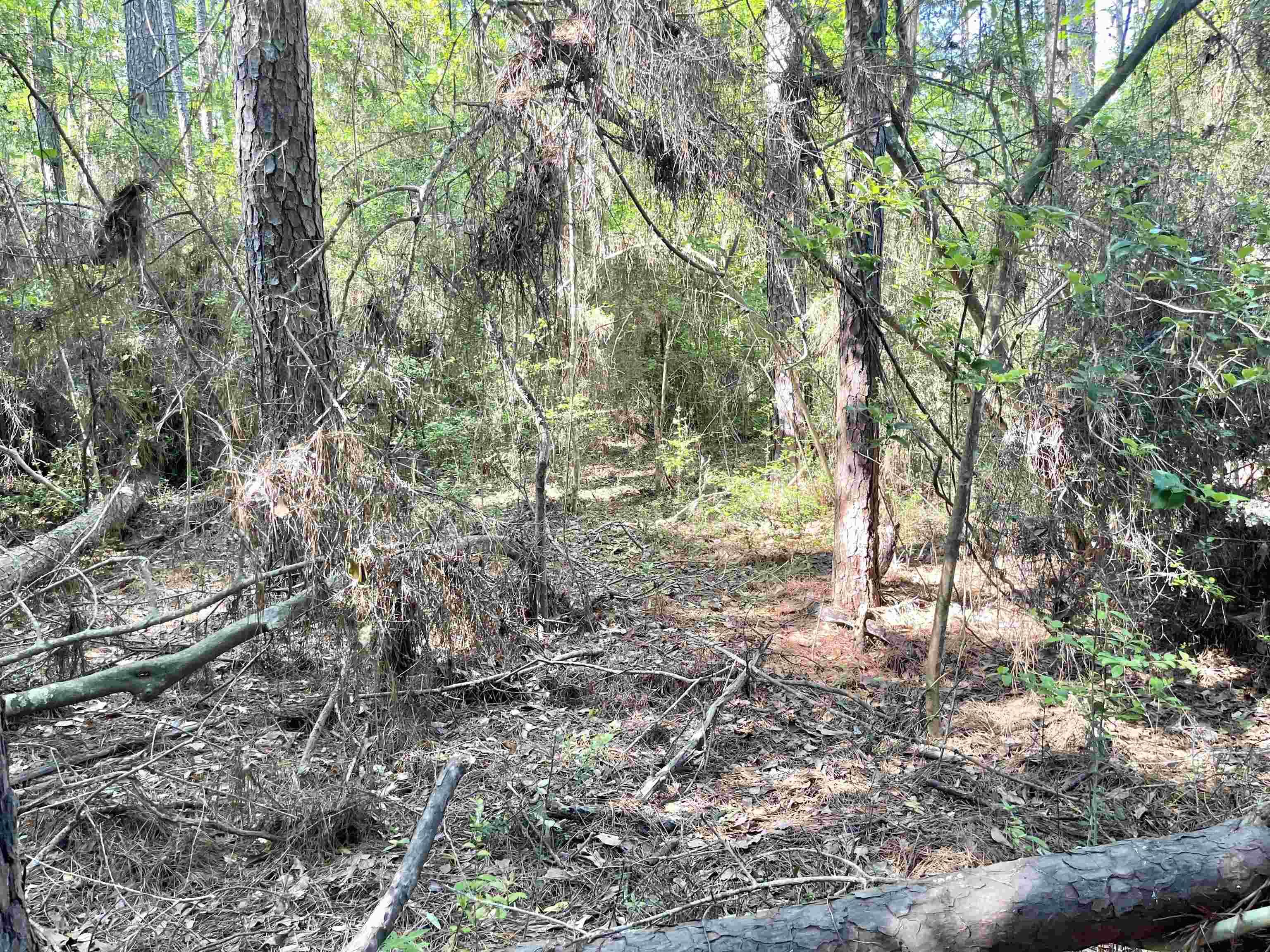 Image 4: Additional View