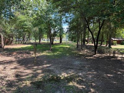 151 Briar Rose Fields