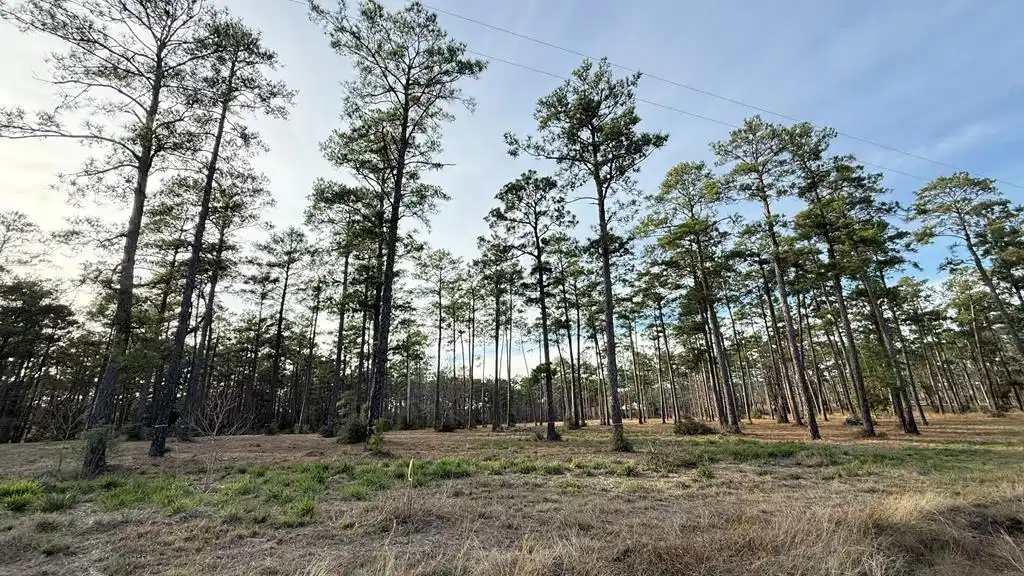 Image 1: Main View