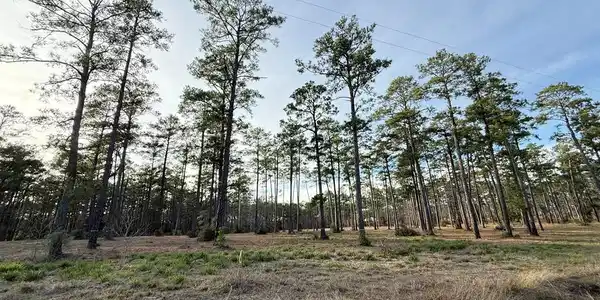 775 Private Rd 6026