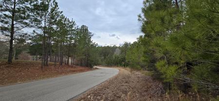 PIDN 51641 County Road 222