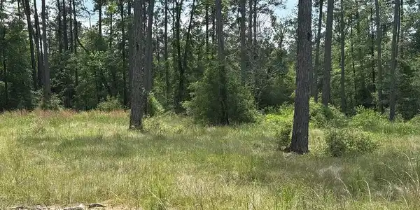 Lot 008 Private Rd 6028