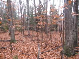 0 Huggins Rd. Lot 4