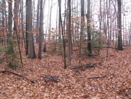 0 Huggins Rd. Lot 5 & 6