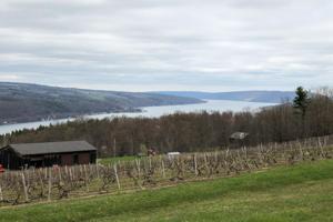 8636 County Route 87