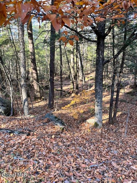 Image 4: unnamed (4)