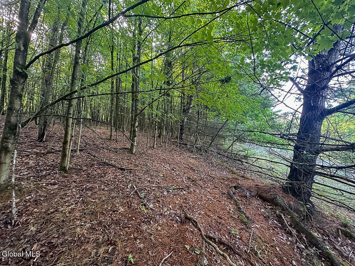 Image 4: Nassua Rd Ground Level-2