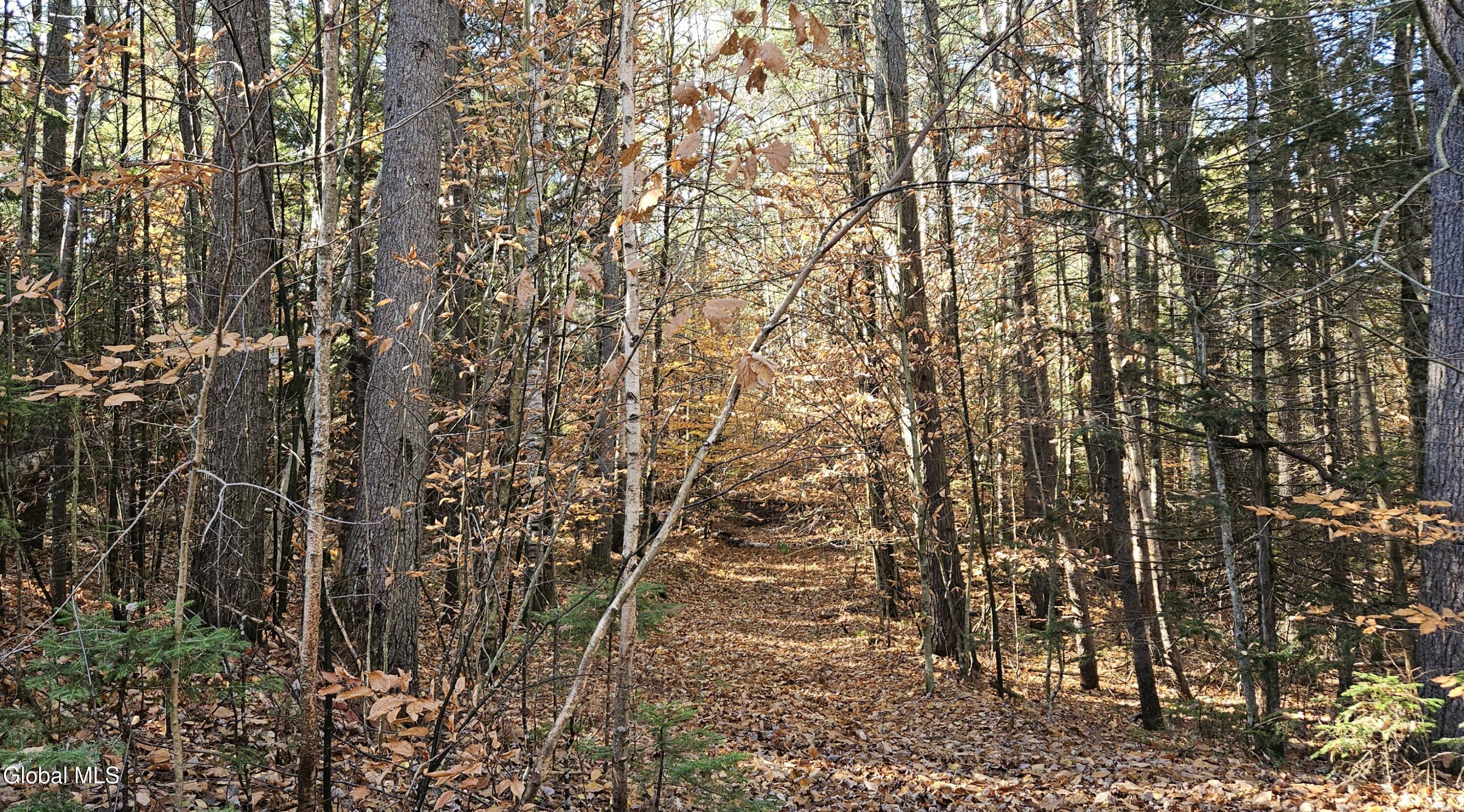 Image 1: Road Side Picture