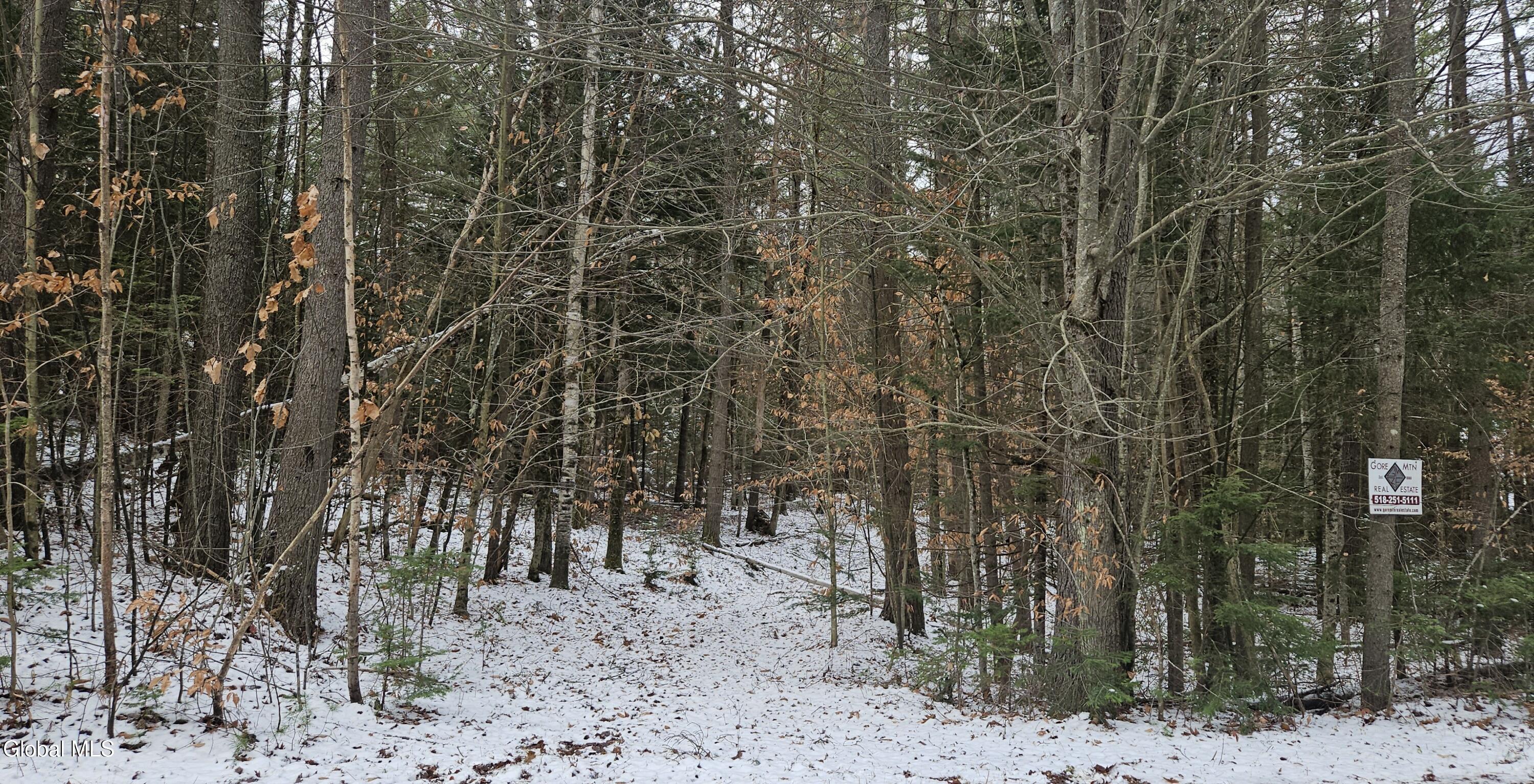 Image 2: Road Side Picture 2