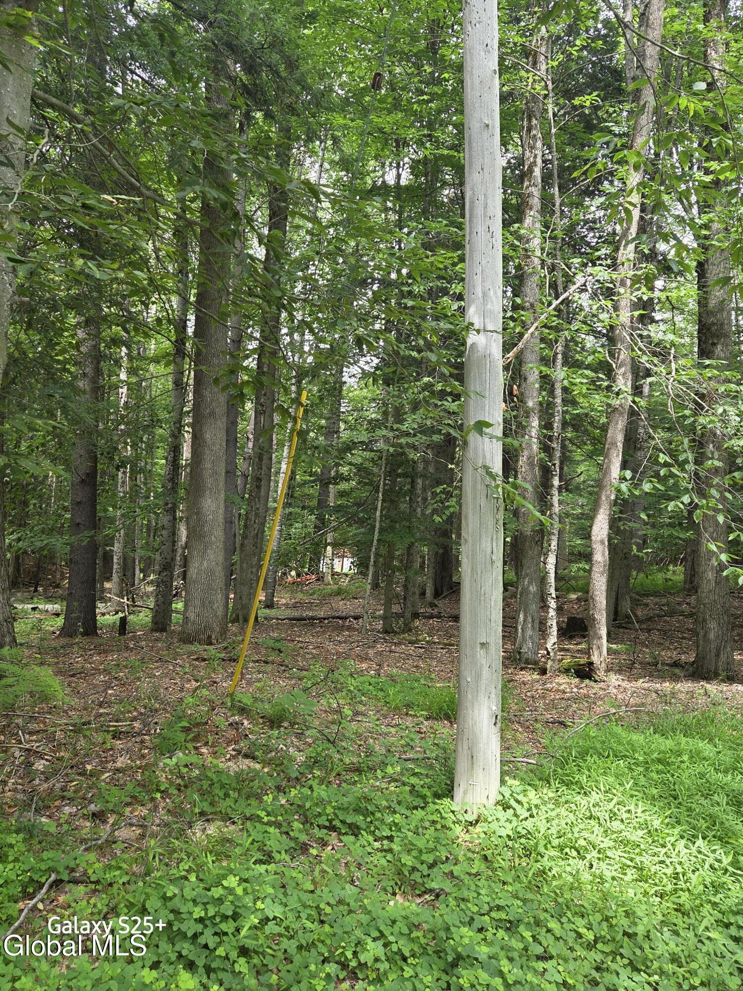 Image 4: 412800 42.-12-2-8