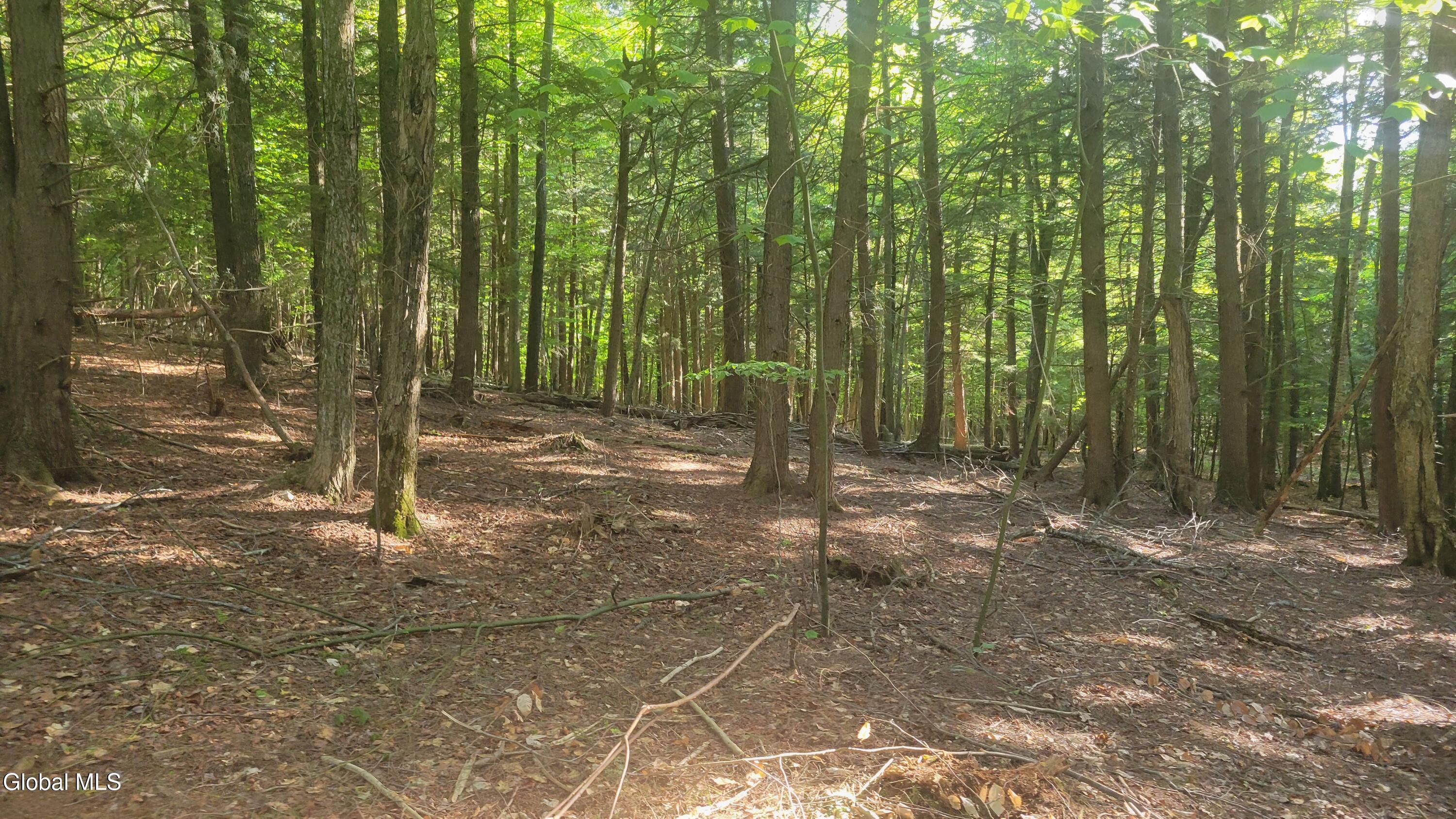 Image 3: GladeLikeWoods