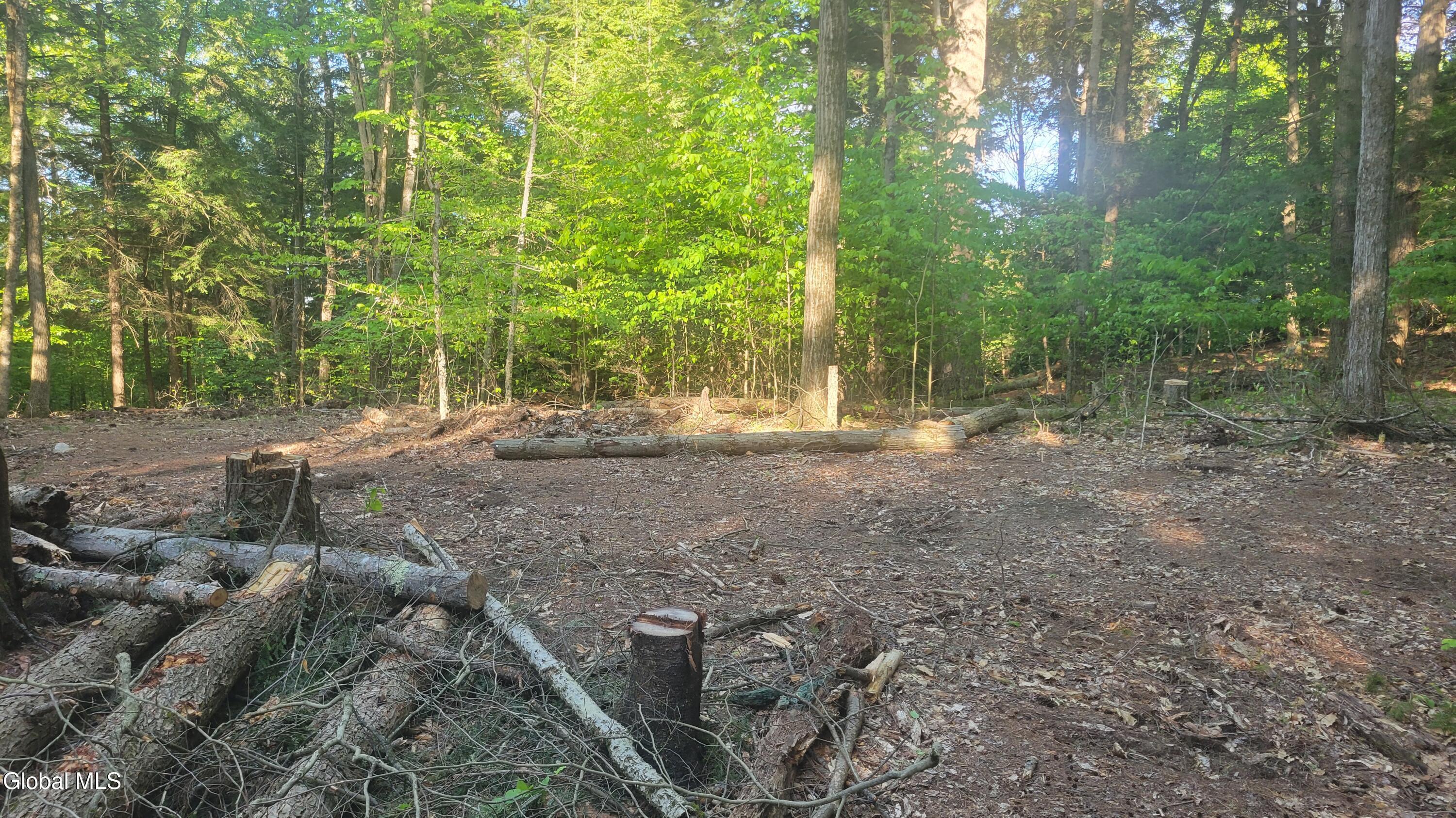 Image 4: PotentialBuildSite