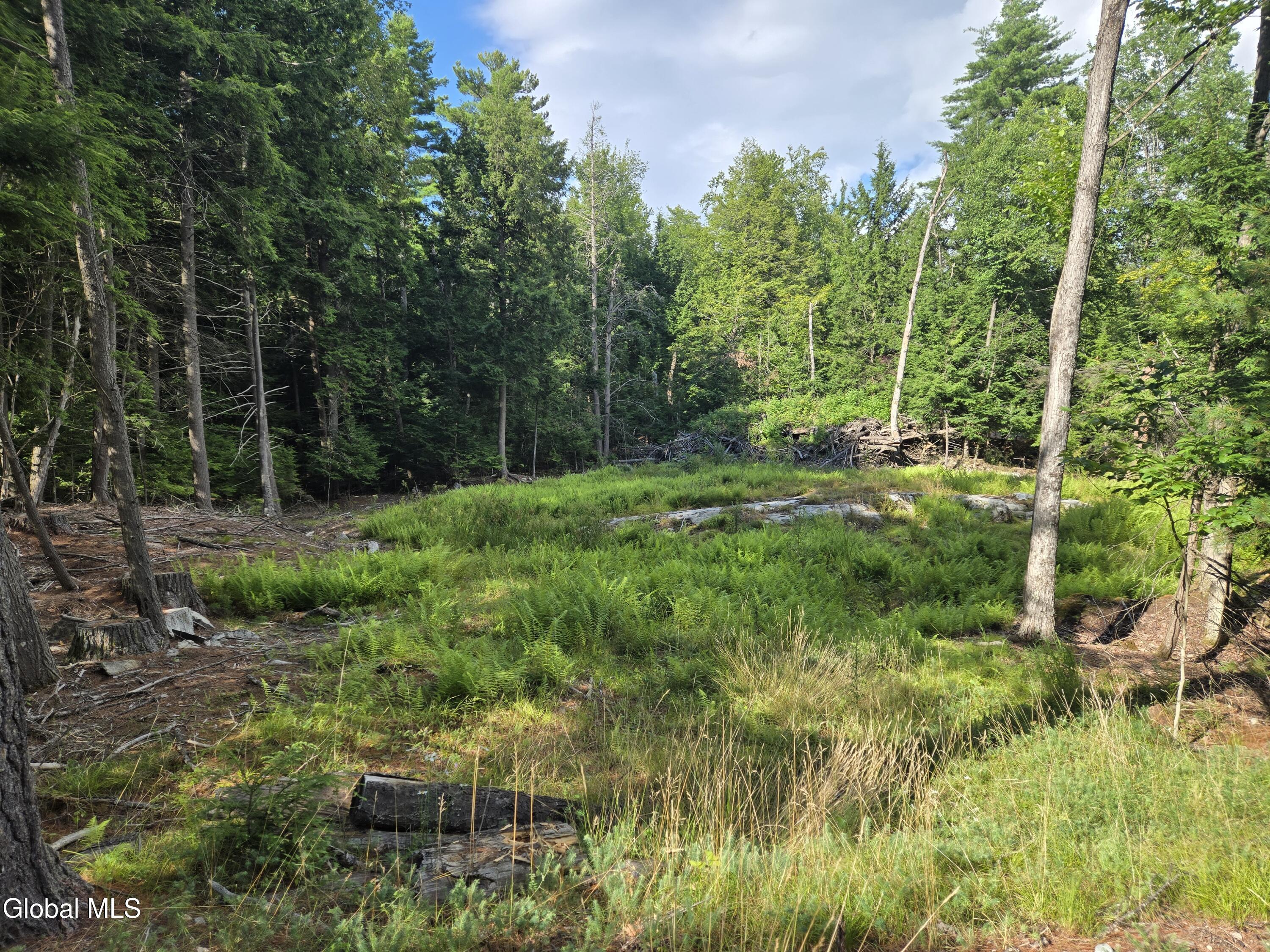Image 2: 20250720_171202