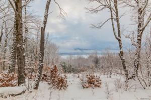 62 COLDBROOK AV