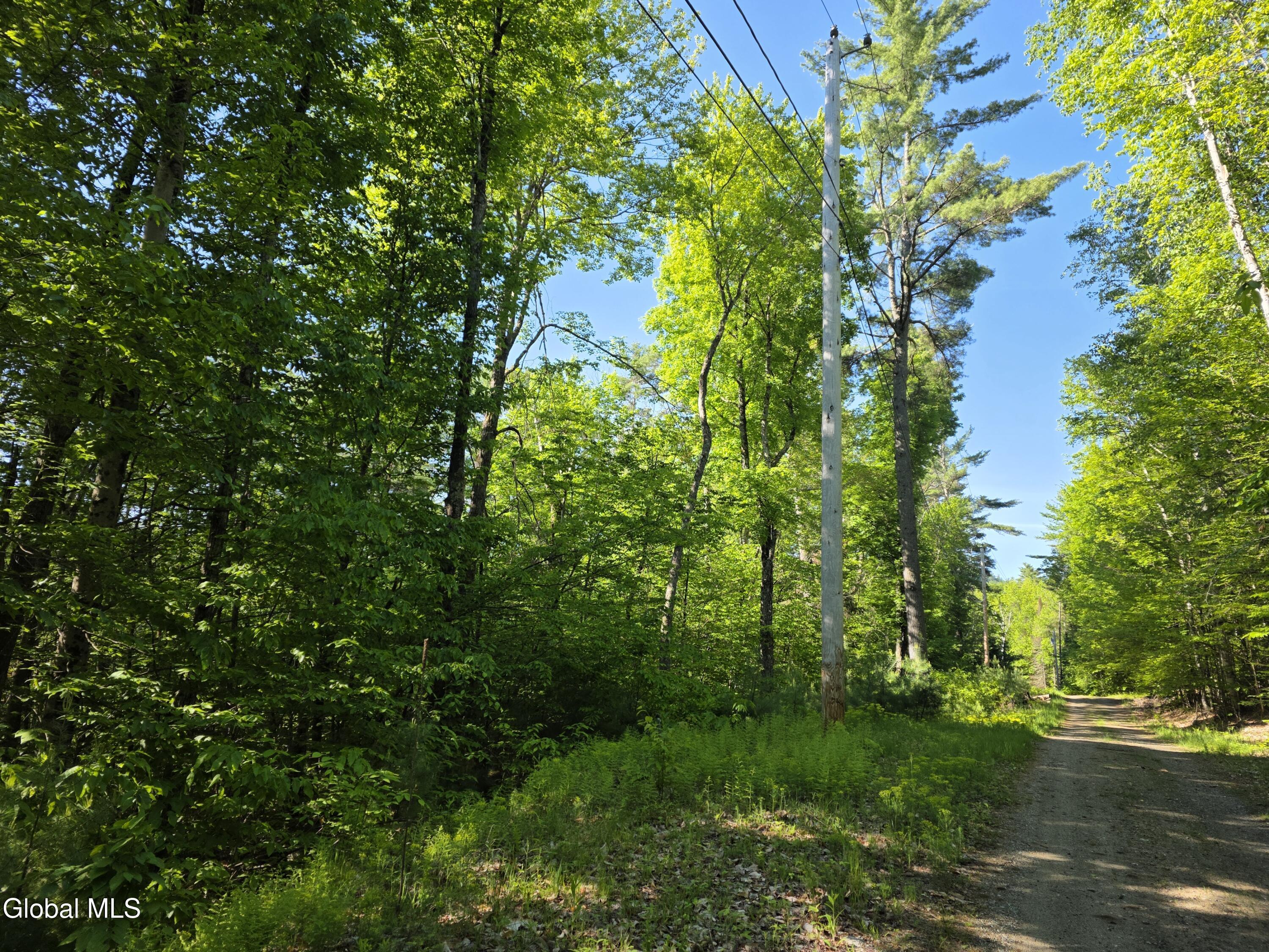 Image 4: Lot 5 Road Frontage