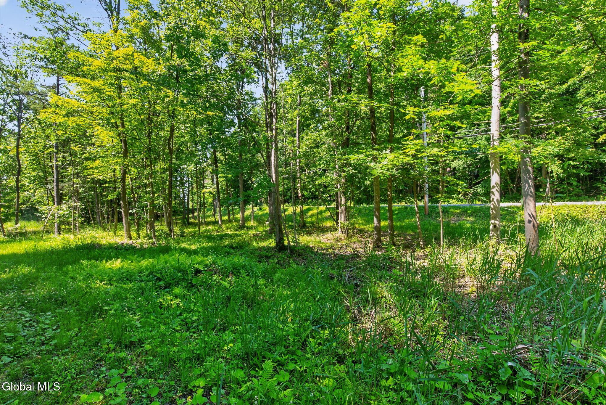 Image 3: 19-web-or-mls-ny-9l