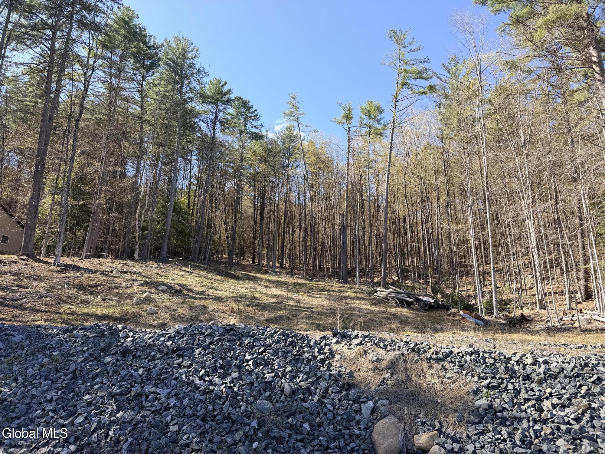 Image 3: IMG_8116