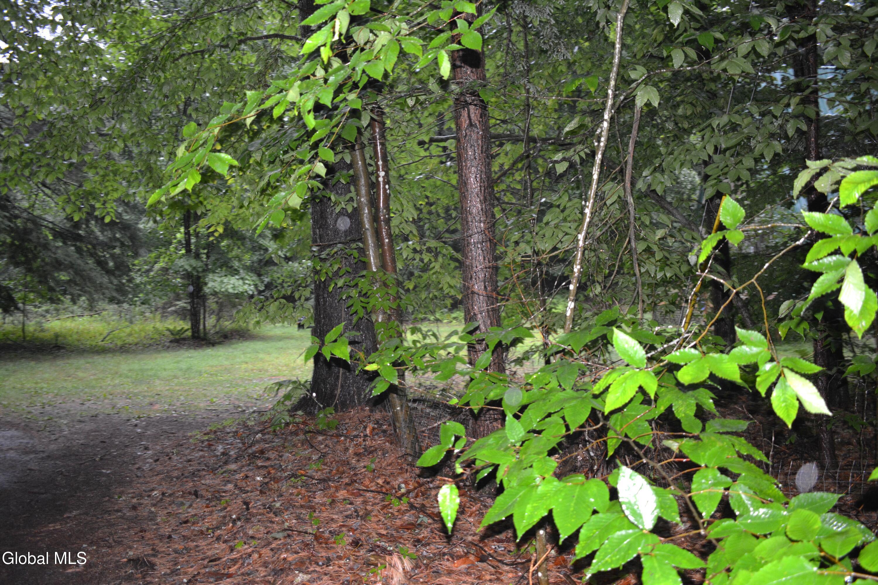 Image 2: DSC_0064