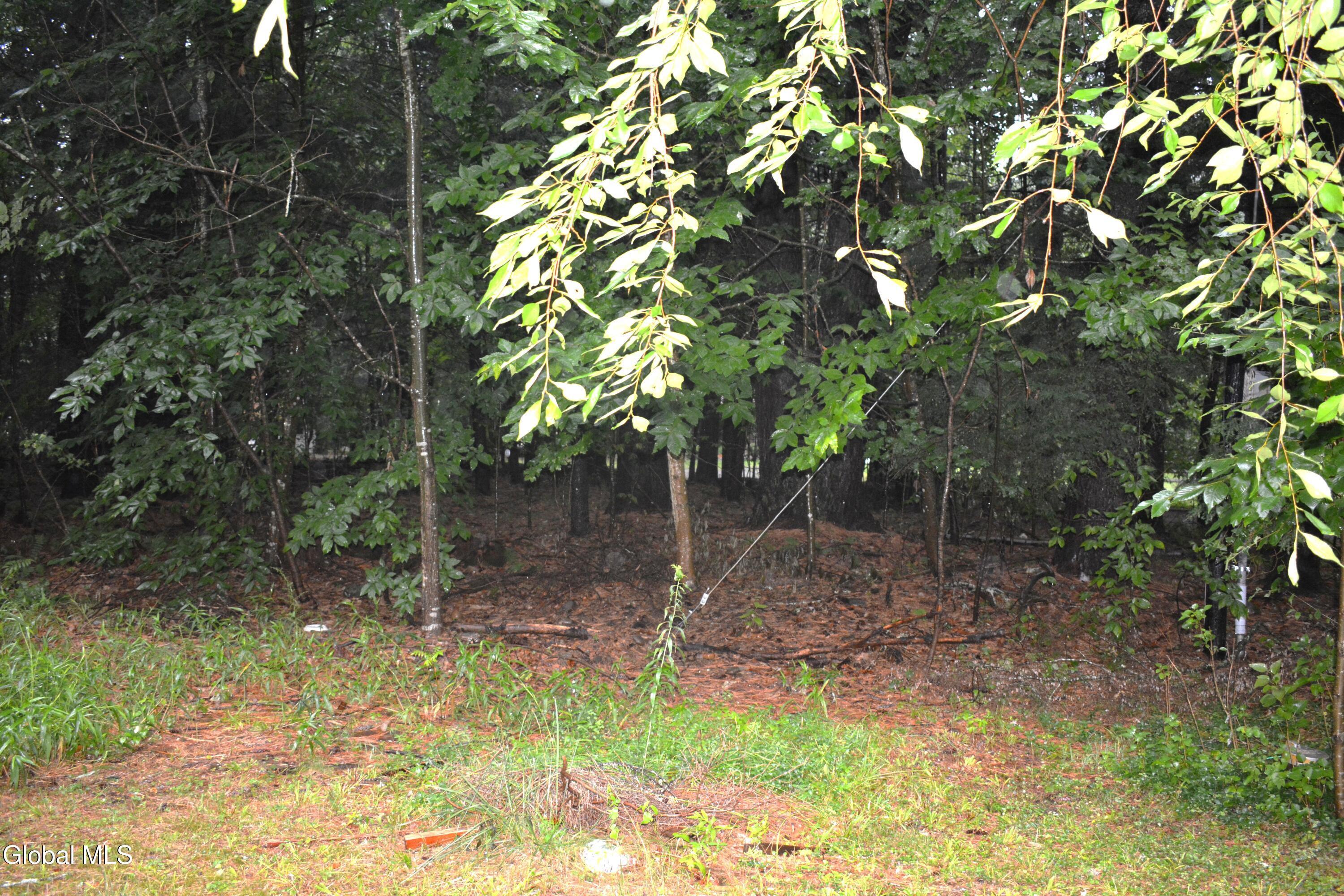 Image 3: DSC_0066