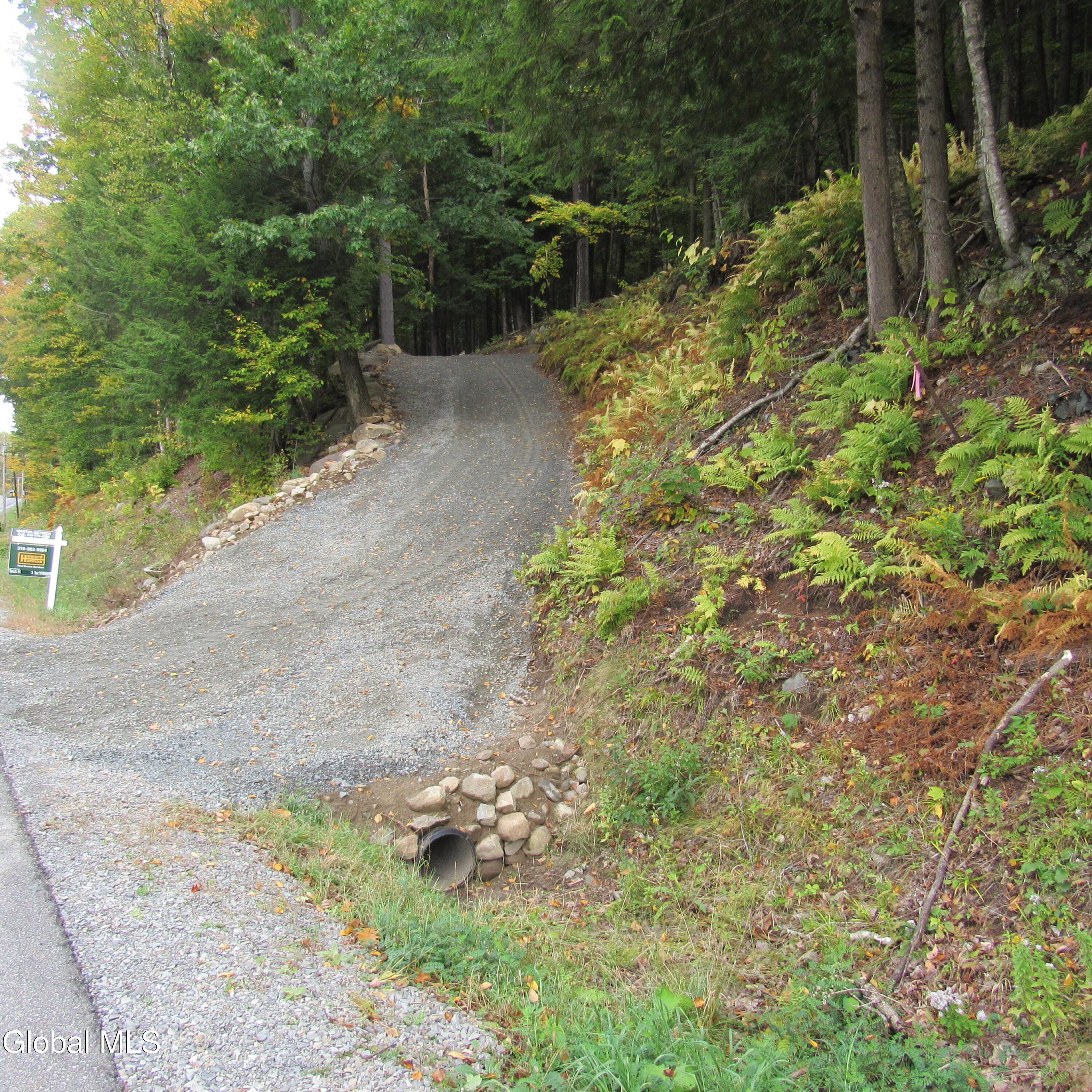 Image 3: IMG_2236