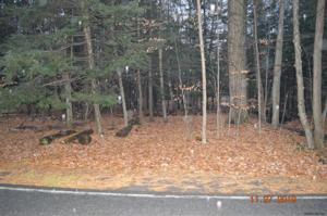 0 PILOT KNOB RD