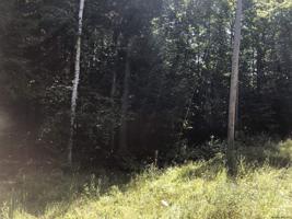 Lot 2 DIAMOND RIDGE RD