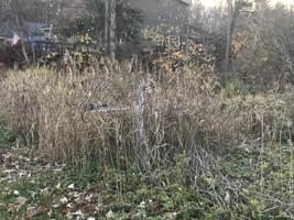 4168 SILVER BEACH RD