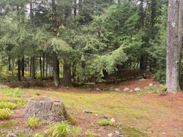 1390 Charley Hill Road