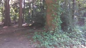 0000 TREASURE POINT RD